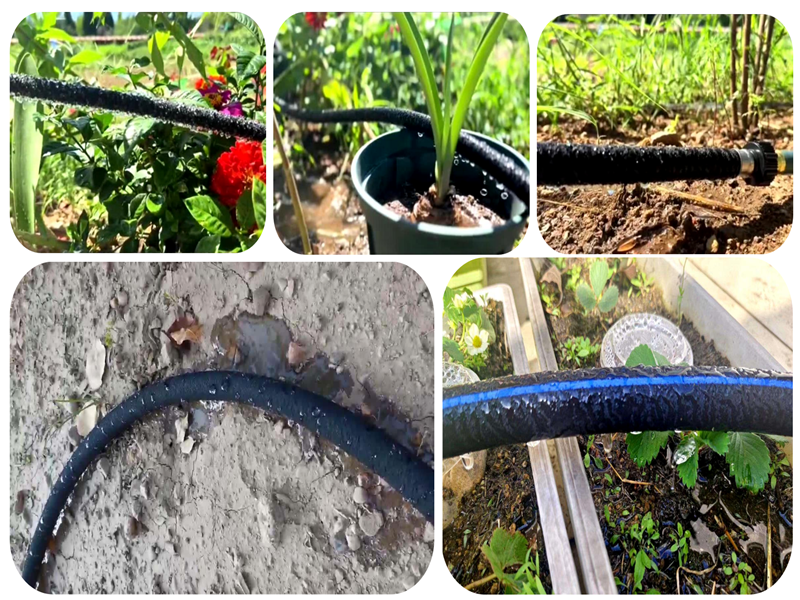 Equipo de tubería de filtración de maquinaria de plástico yongte: esperanza verde para el mercado indio